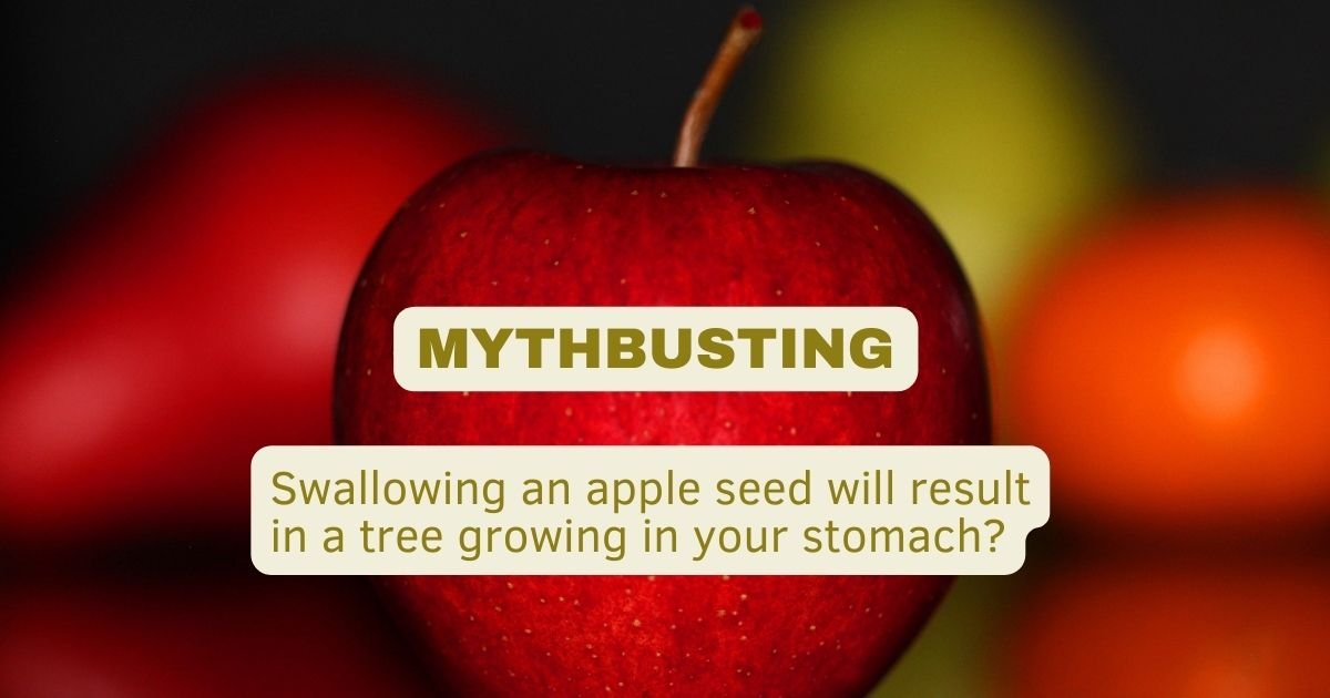 swallowing-an-apple-seed-grow-tree-in-your-stomach