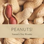 peanuts-natures-tiny-wonder