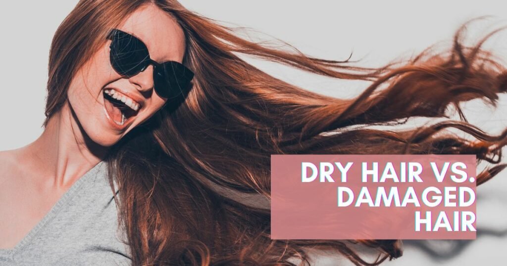 Dry Hair Vs. Damaged Hair: Decoding The Battle For Healthy Tresses ...