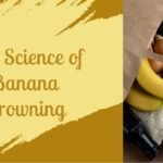why-do-bananas-turn-brown-and-how-to-prevent-it