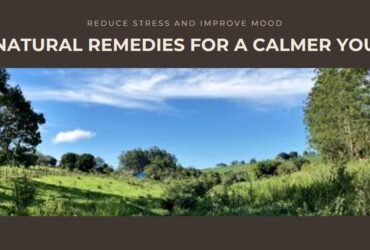 natural-remedies-for-improving-mood-and-reducing-stress